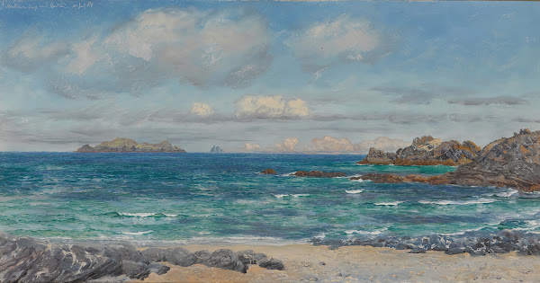 Newtrain Bayand Gull Island Cornwall 1889