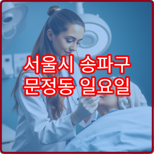 서울시 송파구 문정동 일요일 비뇨의학과 진료 병원 응급