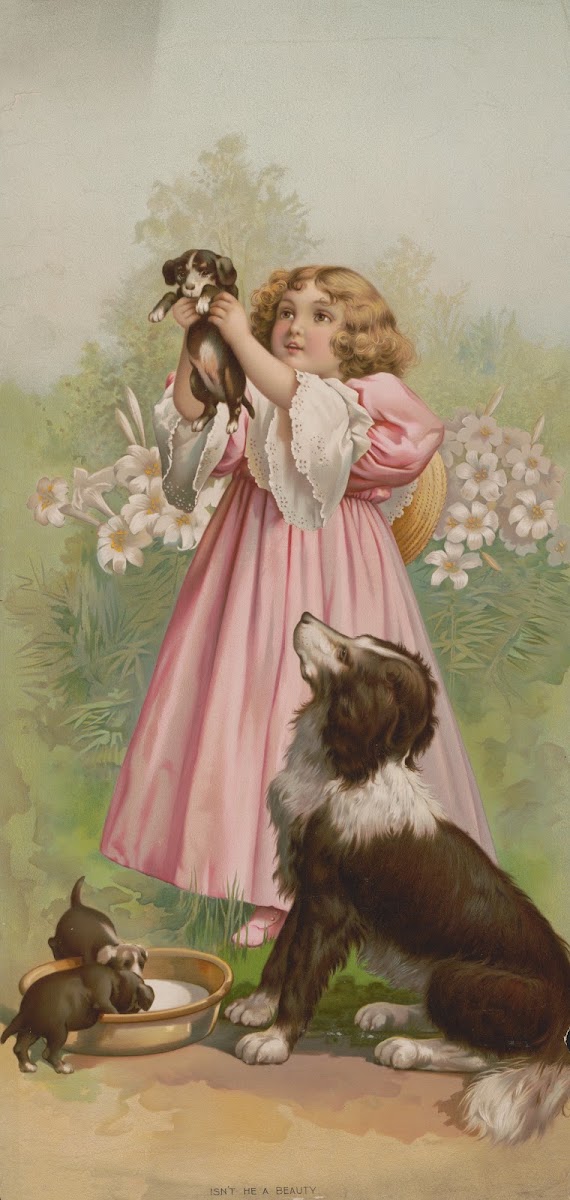 Isnt he a beauty 1898