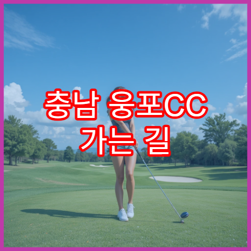 충남 웅포CC 가는 길 + 추천 라운딩 루트