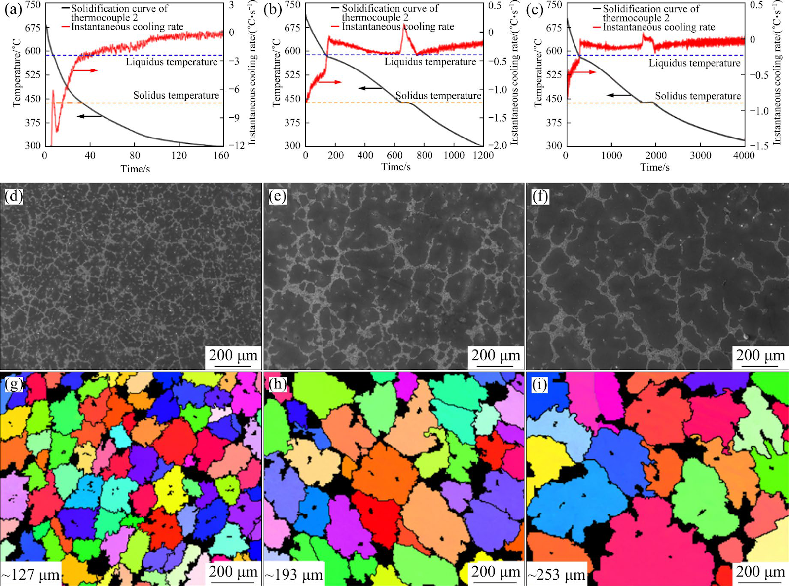 3D morphological characteristics of shrinkage porosities and their relationship with microstructures in Mg−12Al magnesium alloy
