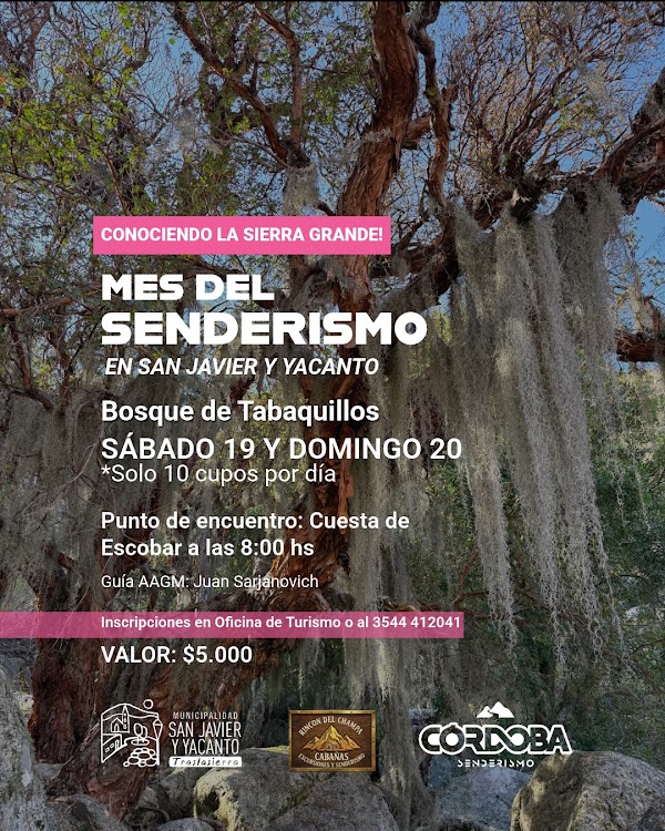 Senderismo en el Bosque de Tabaquillos