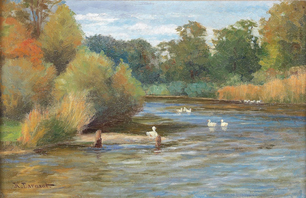 Enten am Weiher