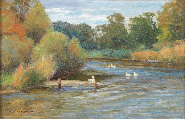 Enten am Weiher