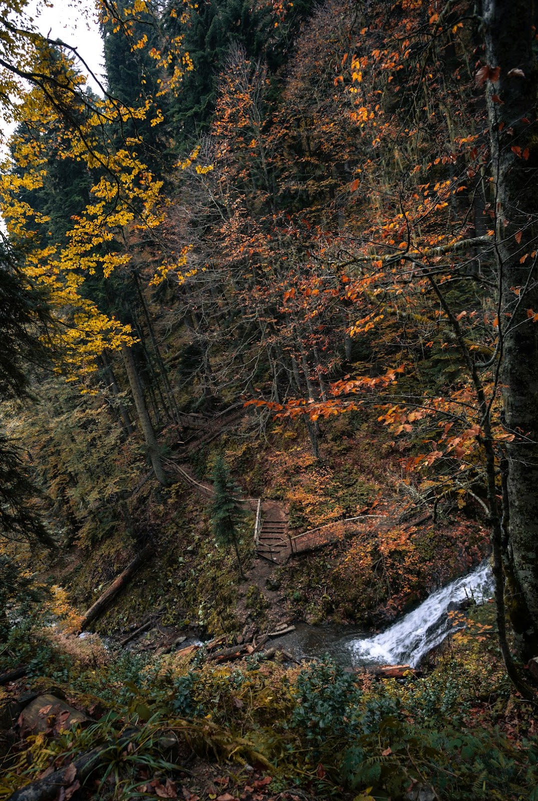 캠핑 후 즐기는 봉화! 놓칠 수 없는 주변 명소와 먹거리