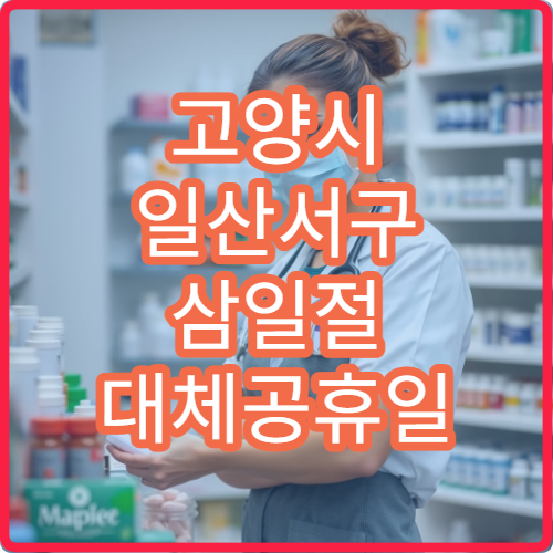 고양시 일산서구 삼일절 대체공휴일 심장외과 연휴 진료 병원 심근경색·대동맥류 상담 가능