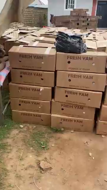 Yam cleaning and packing