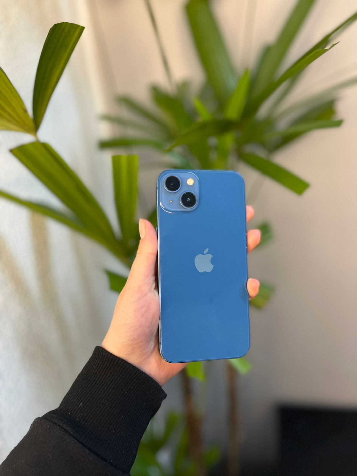 iPhone 13 256GB Azul-Sierra