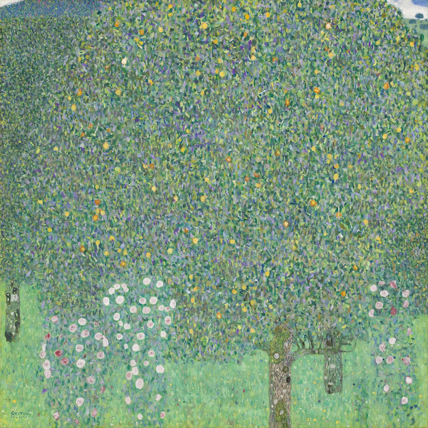 Rosebushes under the Trees circa 1905