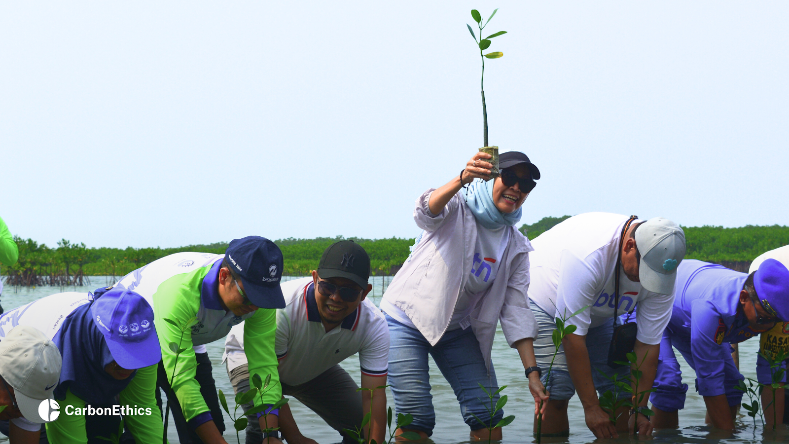 CarbonEthics' Partnership in Mangrove Planting Initiatives