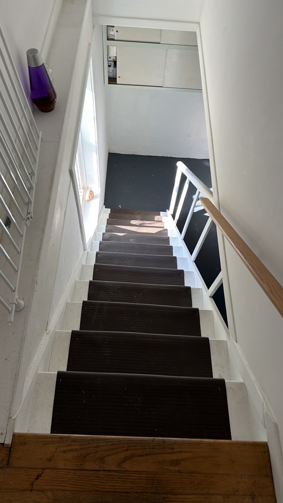 Copy of IMG_2026-03-12_16-22-15_741.jpg