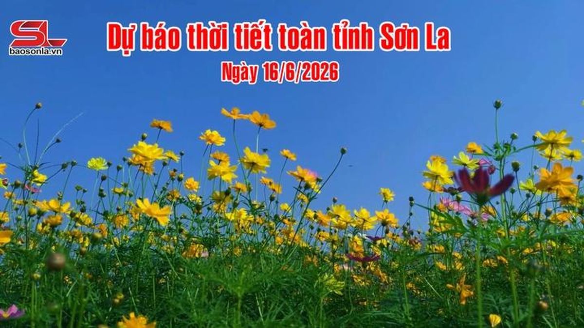 Dự báo thời tiết toàn tỉnh Sơn La ngày 16/6/2026 - Báo Sơn La