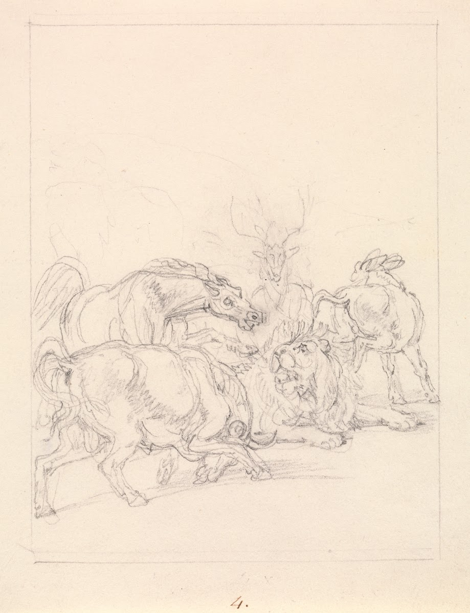 Old Lion Insulted