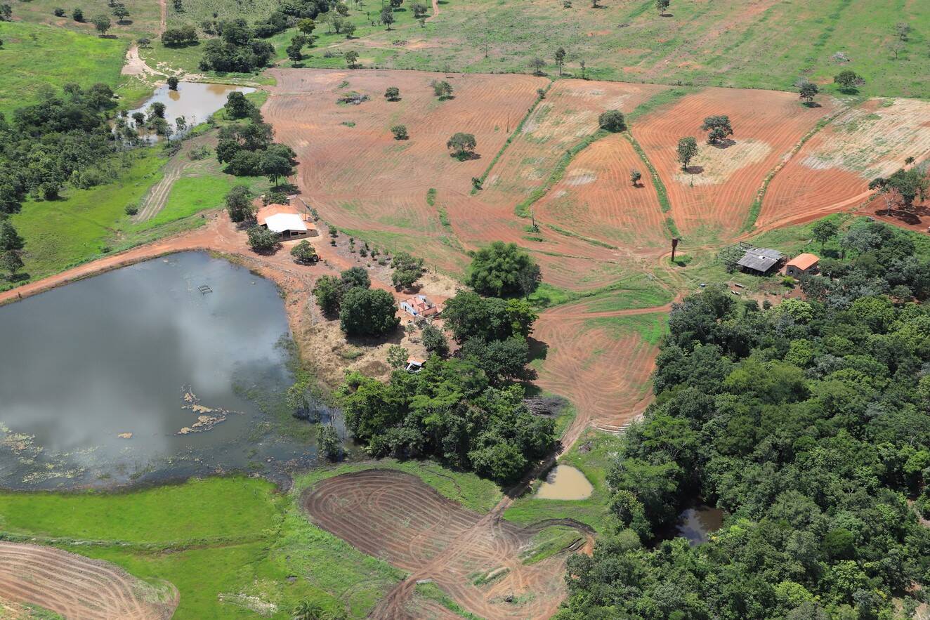 Fazenda em Santa Terezinha de Goiás - GO 3