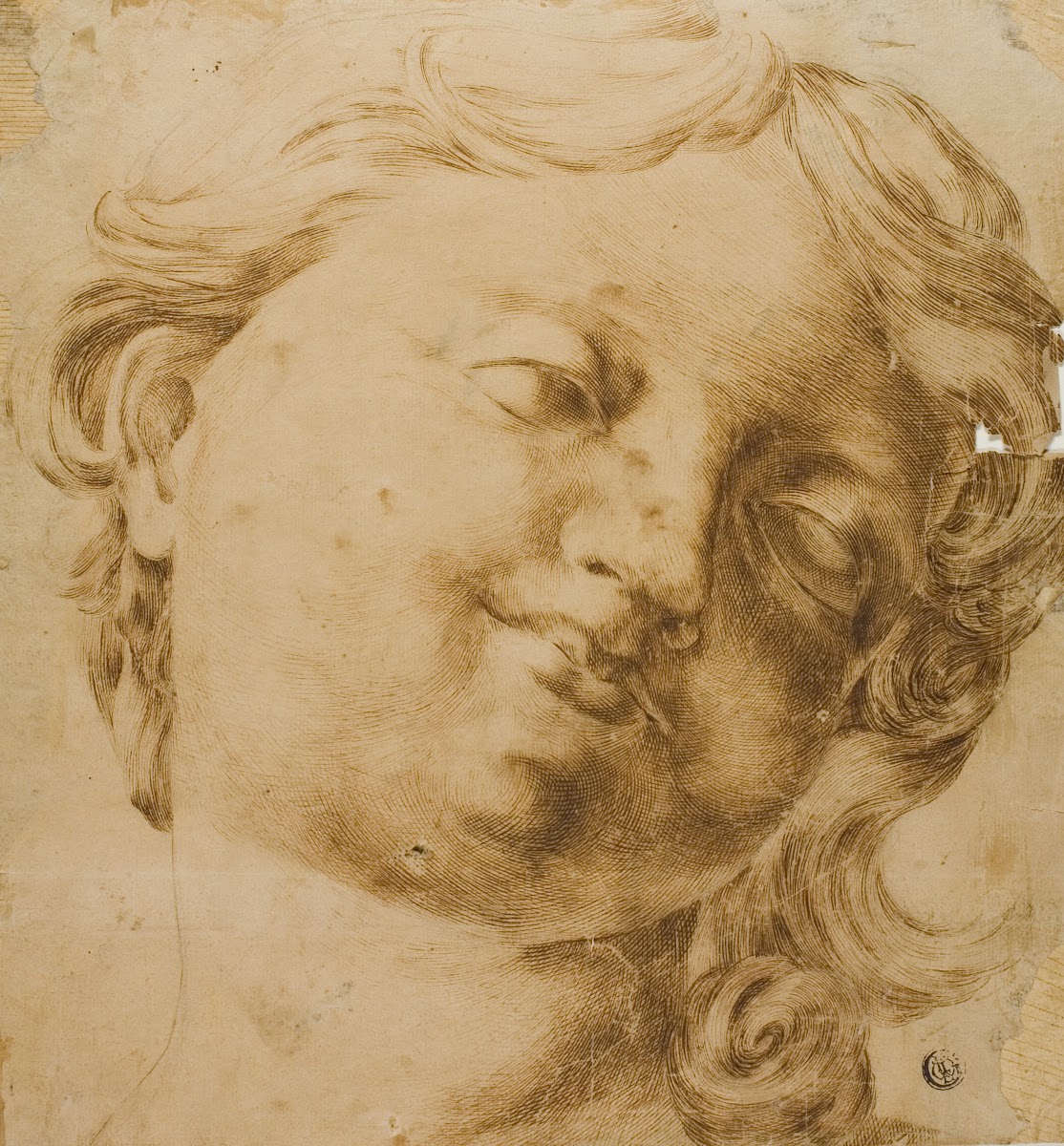 Head of a Child