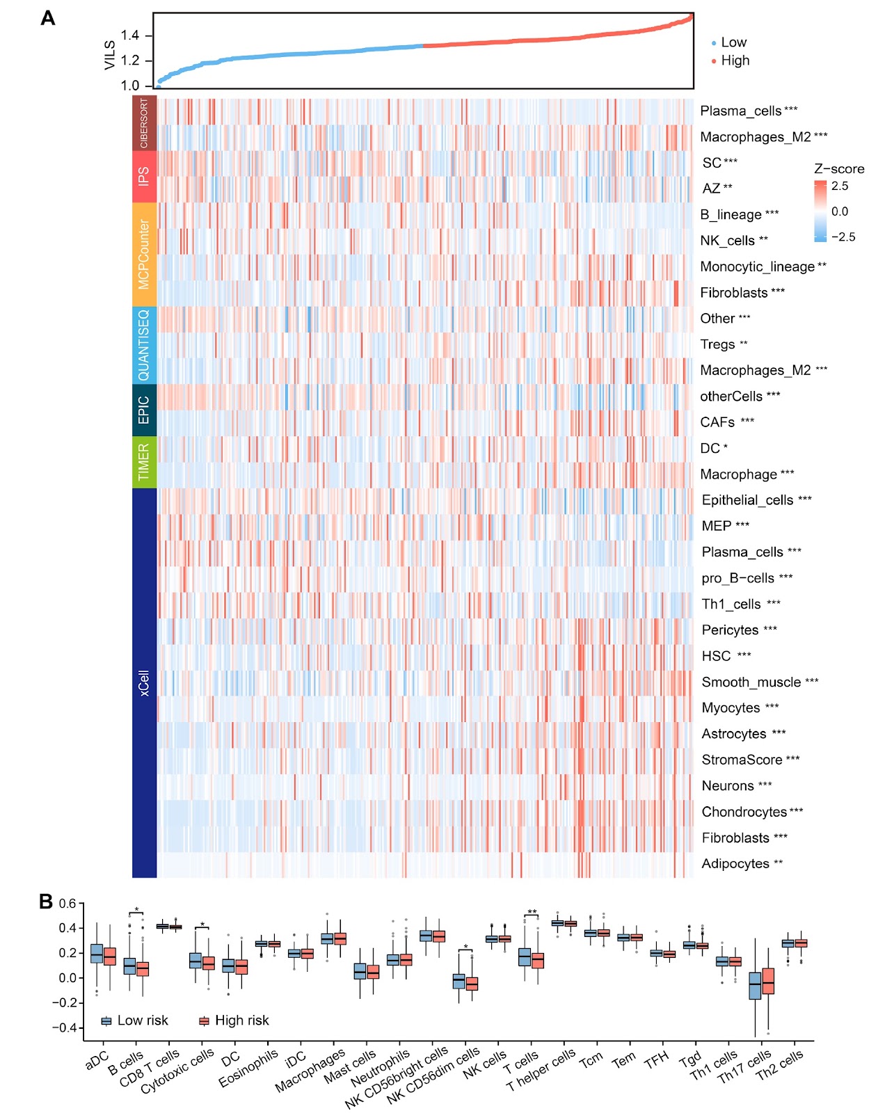 Vesicle-mediated transport-related gene SEC23A promotes cell proliferation by regulating cell cycle leading to gastric cancer progression