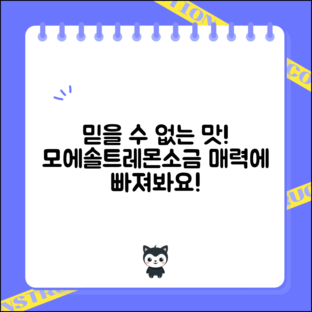 믿을 수 없는 맛! 모에솔트레몬소금의 매력