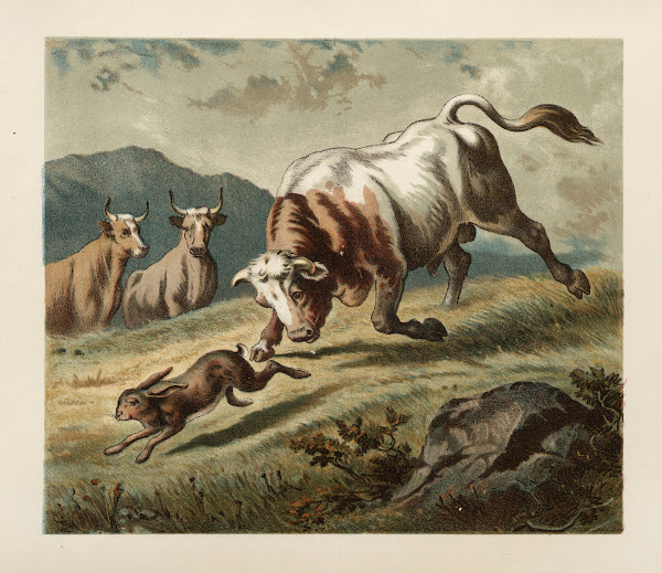 Ballad of the lost hare Pl06 1882