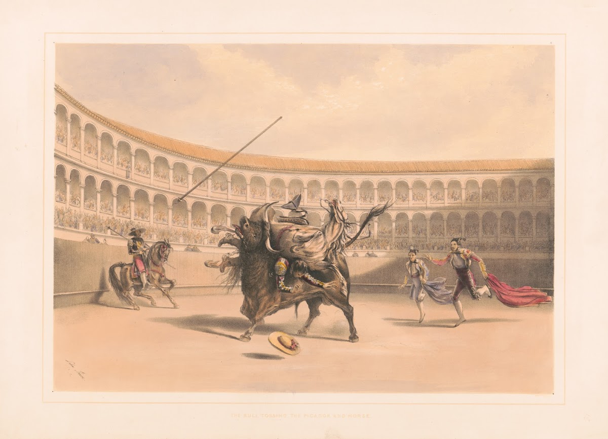 The bull tossing the picador and horse 1860 1870