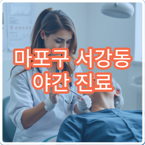 마포구 서강동 야간 진료 치과 병원 찾기