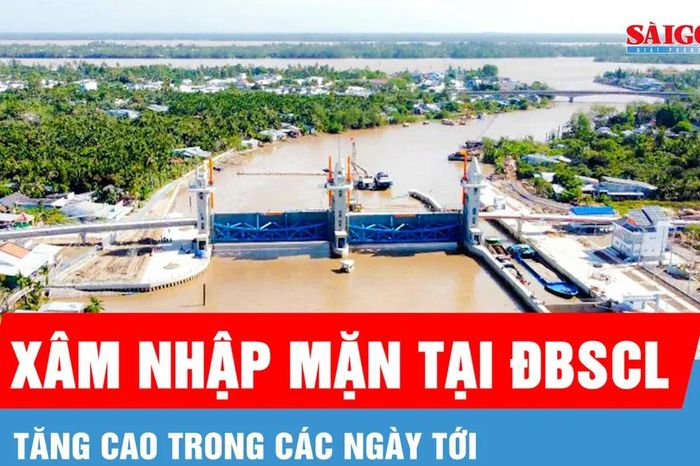 Xâm nhập mặn lấn sâu vào ĐBSCL, có nơi đến 62km - Báo Sài Gòn Giải Phóng