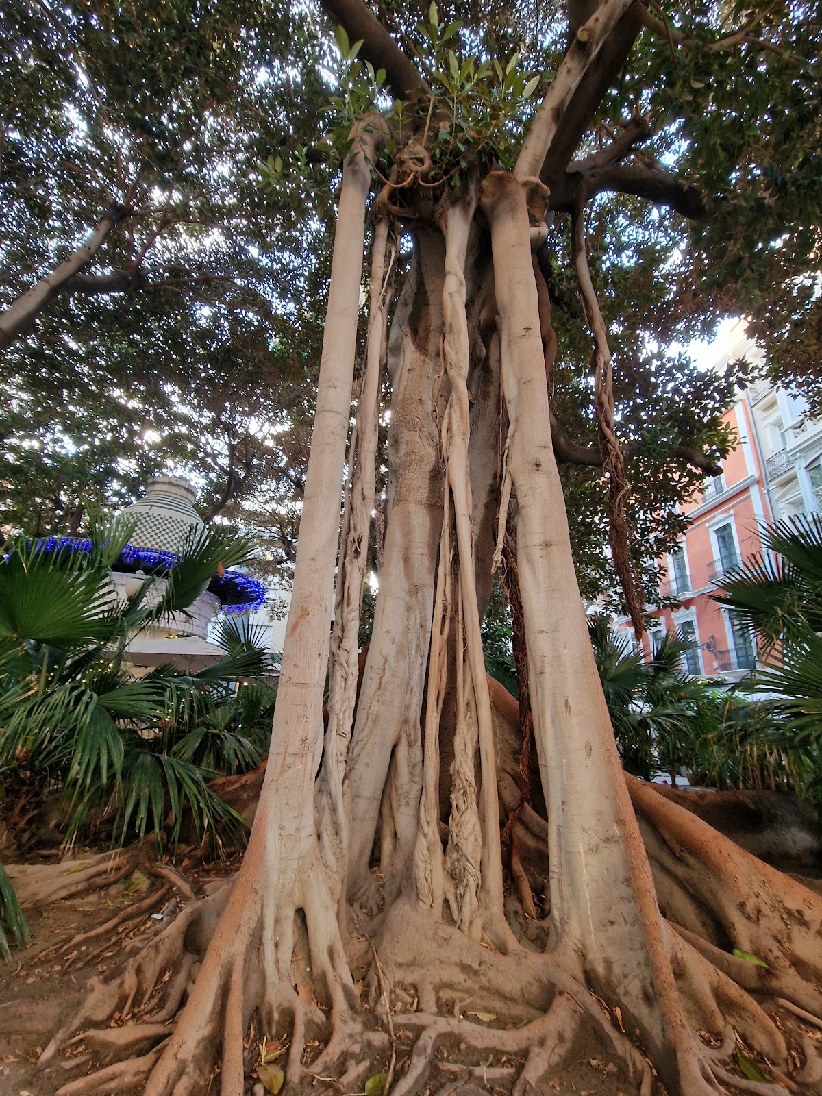 Photo de l’escale Alicante