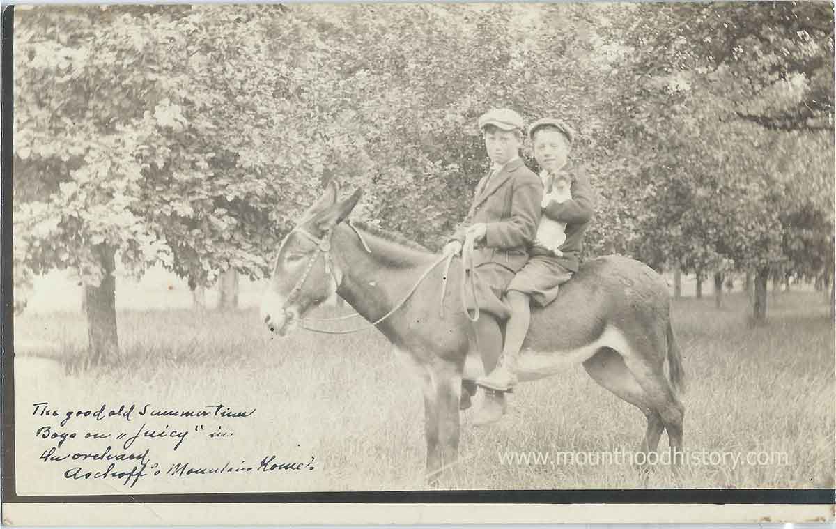 Aschoff's Mountain Home 