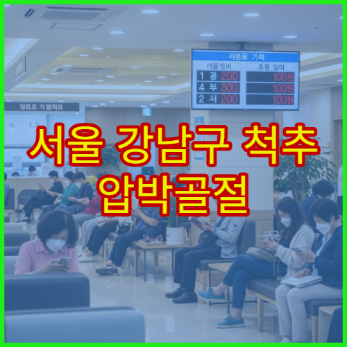 서울 강남구 척추 압박골절 허리 이상 증상 치료 전문 정형외과
