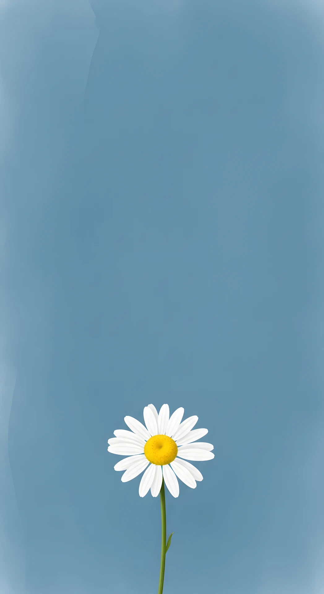 Minimalist White Daisy Illustration on a Textured Solid Blue Background - Free 4K mobile Wallpaper