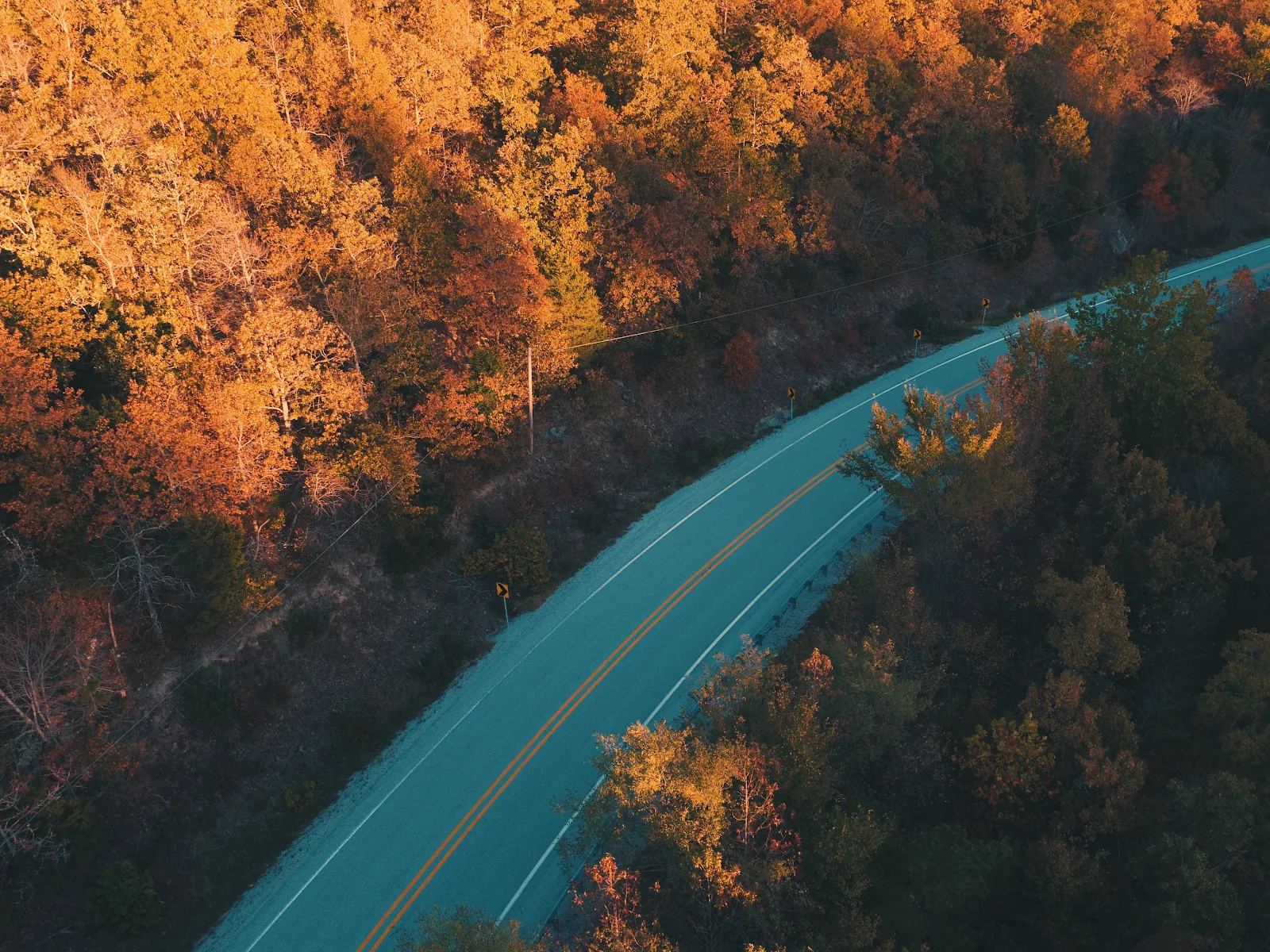 Road, Forest, Trees, Fall, Nature 4K Desktop, iPhone Wallpaper Background