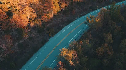 Road, Forest, Trees, Fall, Nature 4K Wallpaper Background
