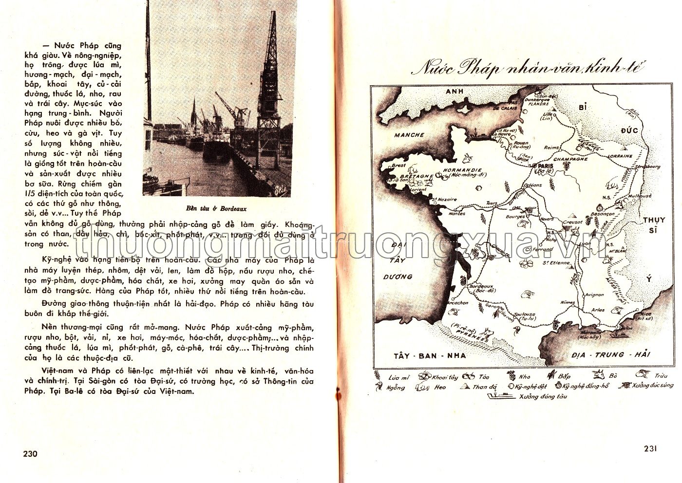 Địa lý lớp nhất (1966) - Trang 117