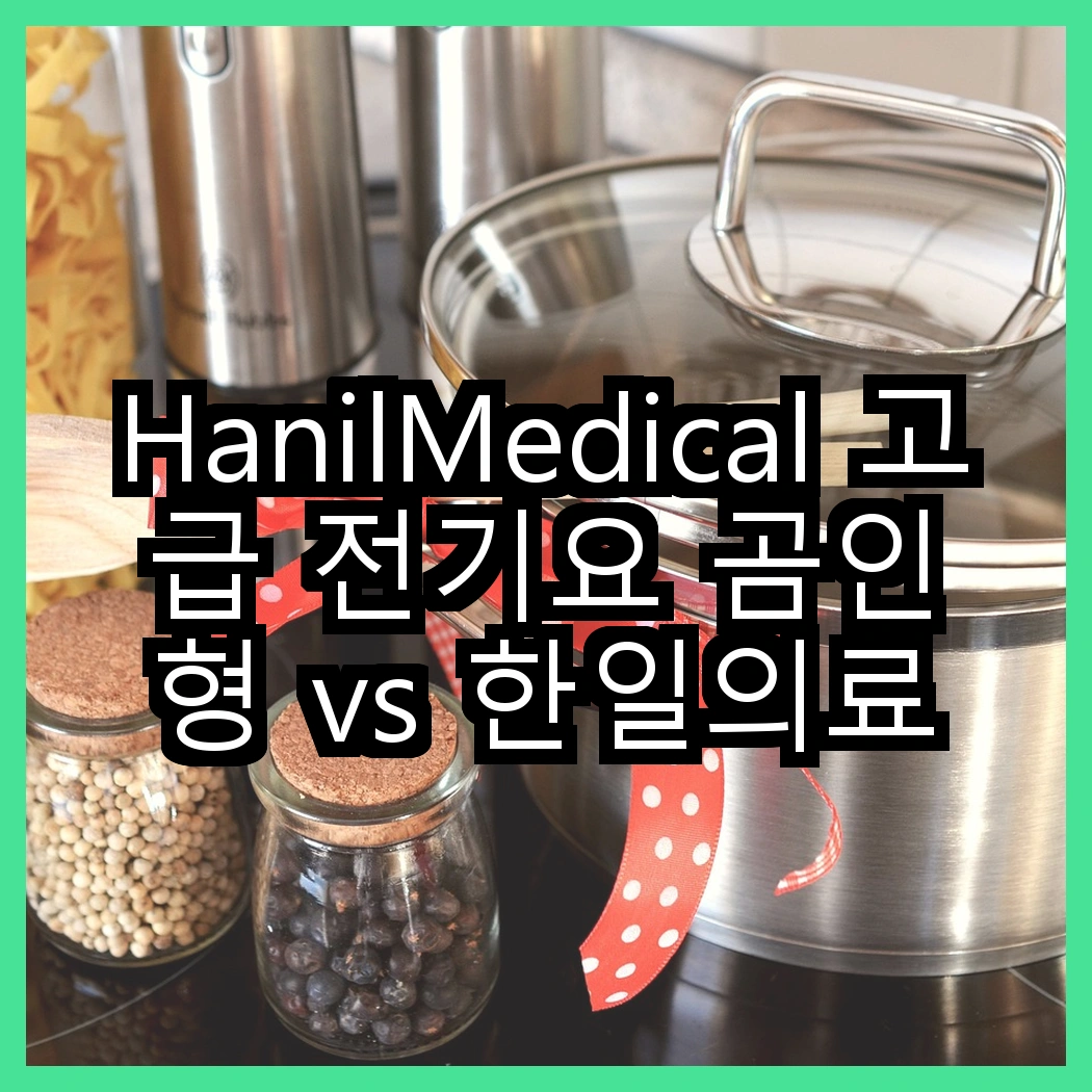 HanilMedical 고급 전기요 곰인형 vs 한일의료기 탄소열선 고급전기요 비숑, 어떤 선택이 더 따뜻할까? 썸네일