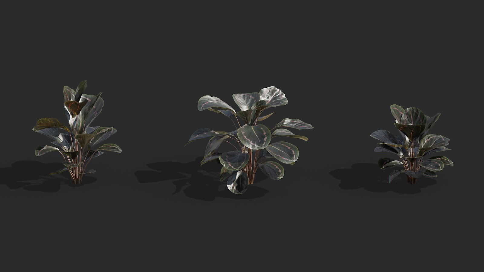 Maxtree - Plant Models Vol.62