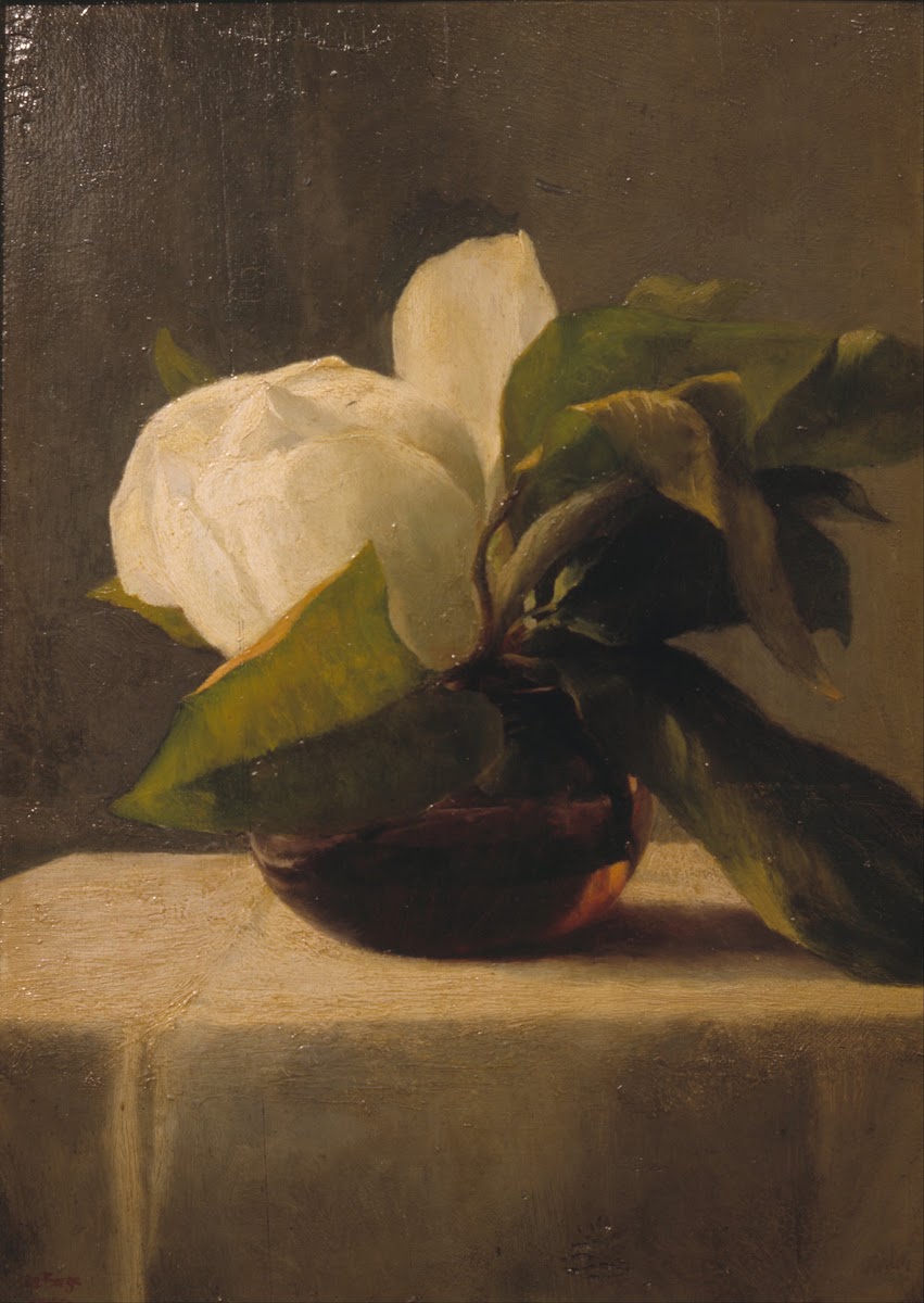 Magnolia 1860