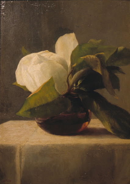 Magnolia 1860