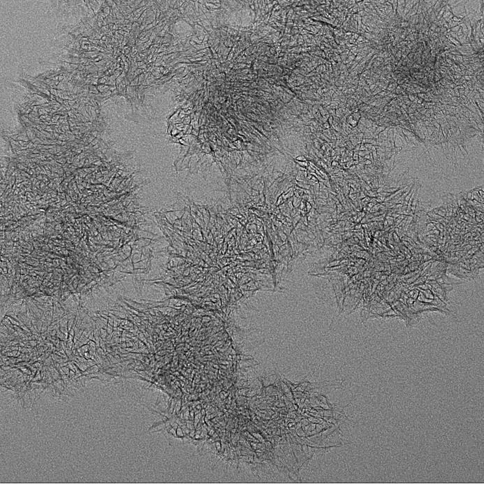 Nitrogen doped single-walled carbon nanohorns as Pt catalyst carrier: Balance of strong durability and high activity of ORR