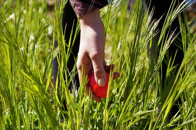 카드 실적 못 채우는 소비 패턴의 핵심 오류