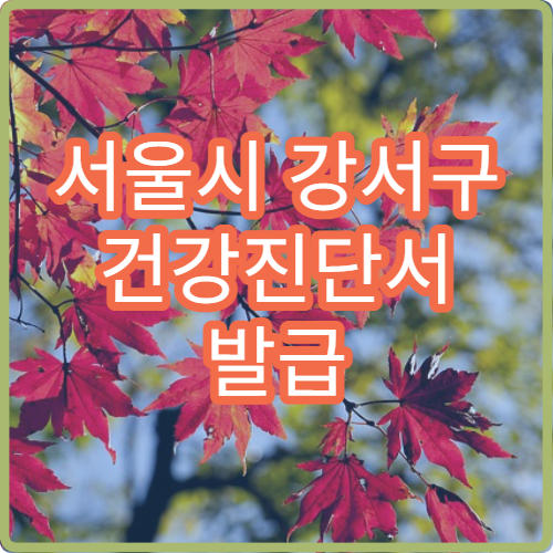 서울시 강서구 건강진단서 발급 비용 취업용 건강진단서 발급 방법 안내
