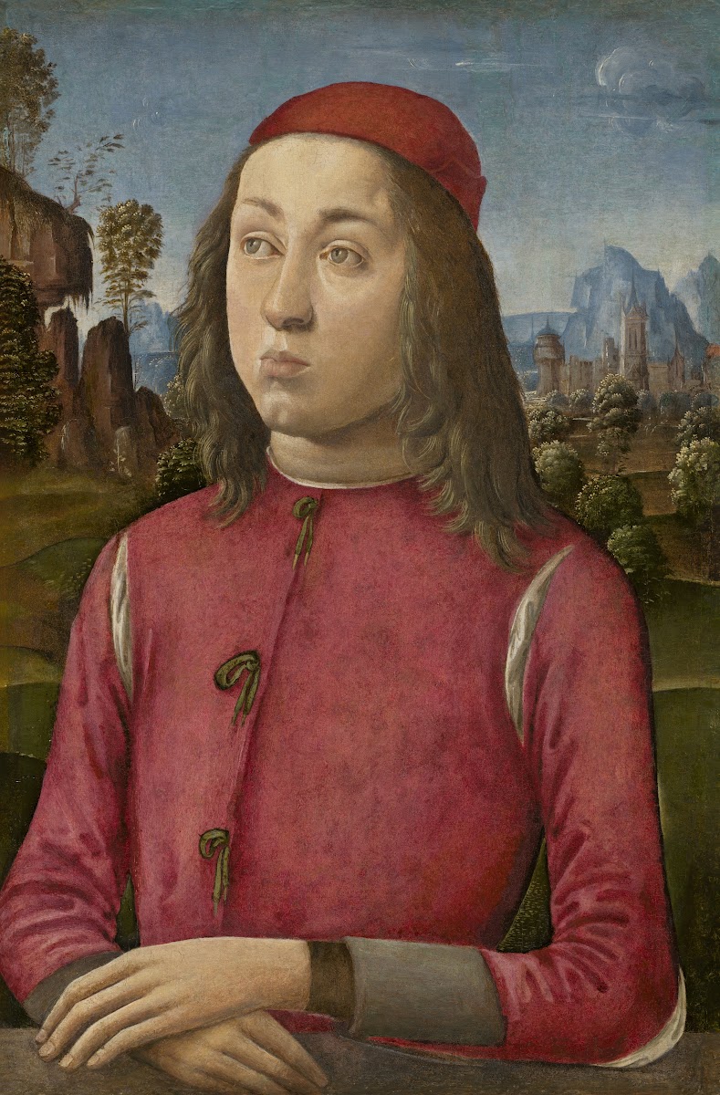 Portrait of a Youth c 1495 1500