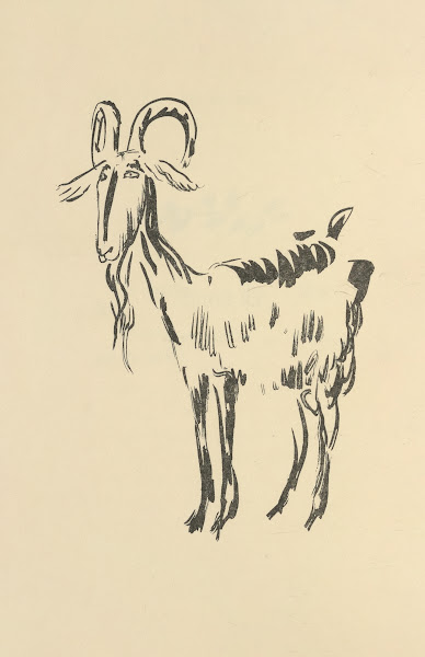 Histoires naturelles Pl 25 1922