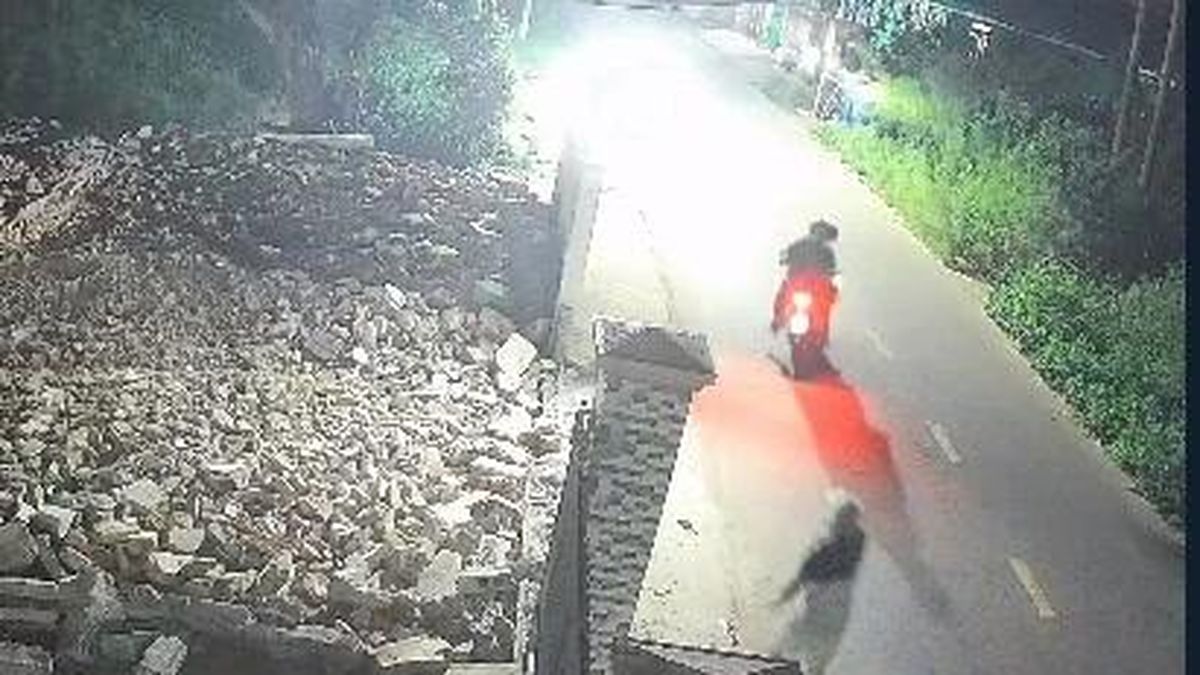 Trộm chó manh động đe dọa tông xe chủ nhà - Báo Công An Nhân Dân