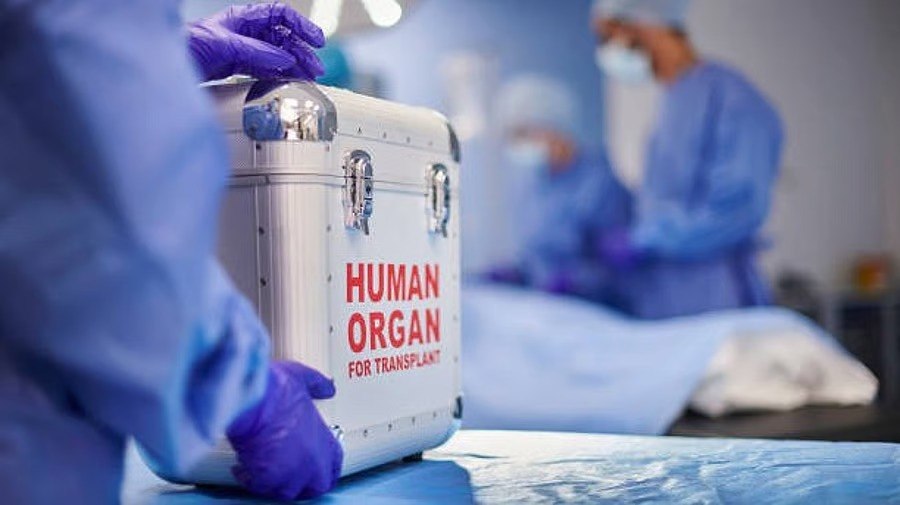 India Achieves Record Organ Transplants, Ranks Third Globally