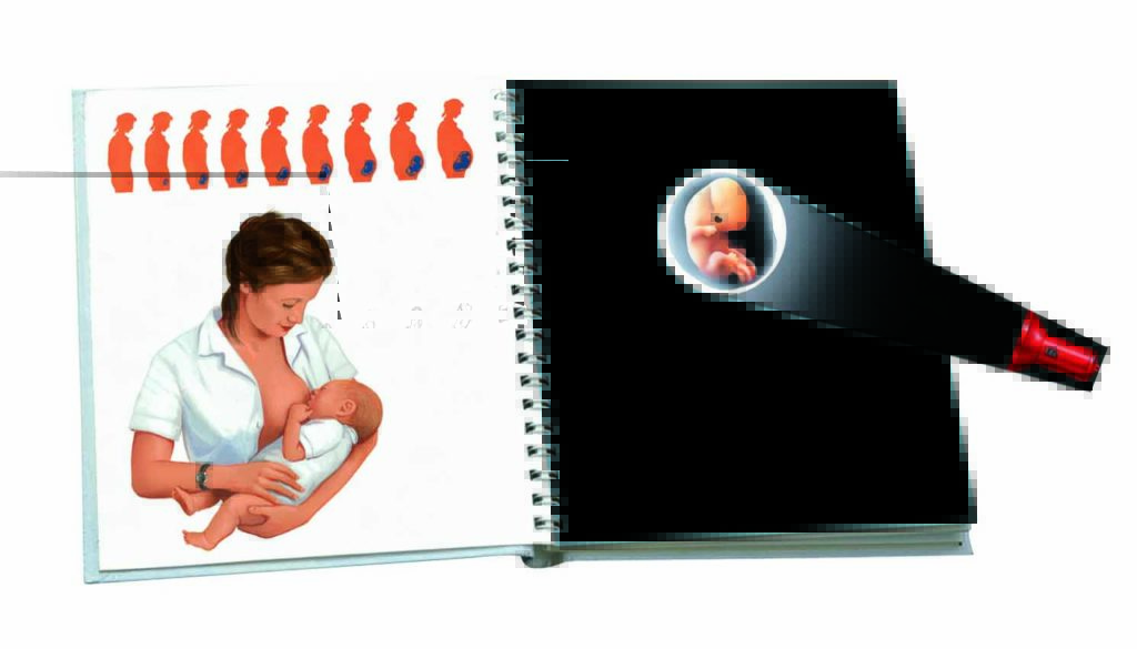 Inside The Body [PO] - thumbnail 3