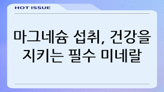 마그네슘 섭취, 건강을 지키는 필수 미네랄