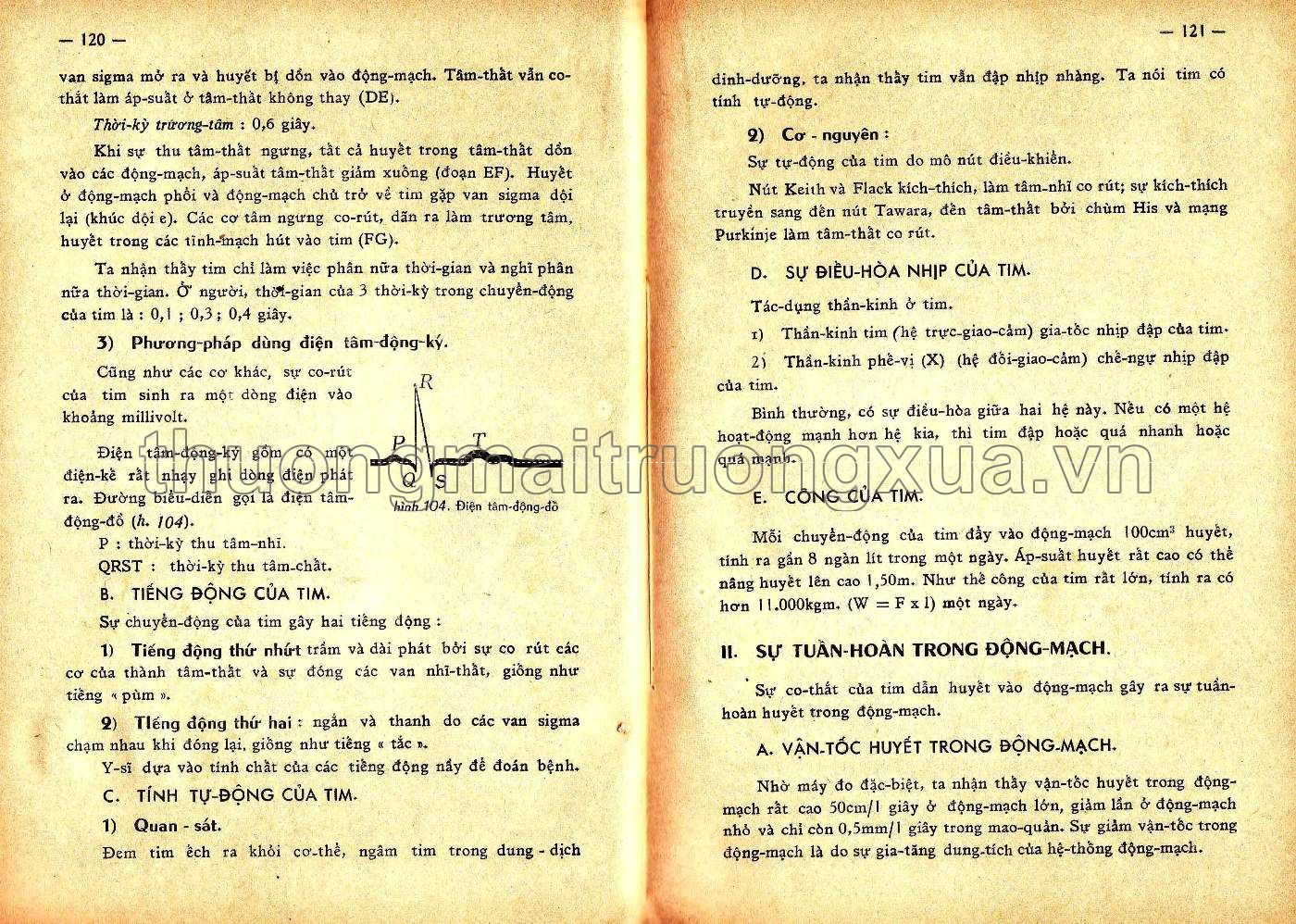 Vạn vật học đệ nhất BCD (1963) - Trang 60
