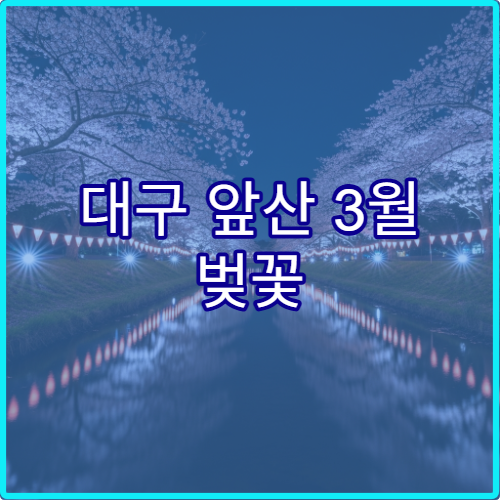 대구 앞산 3월 벚꽃 근처 푸드트럭과 현지인 추천 숨은 맛집 정보