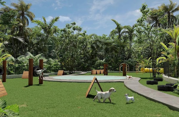Xpu-Ha Beach Residential Resort - Caracol - Land – photo 4