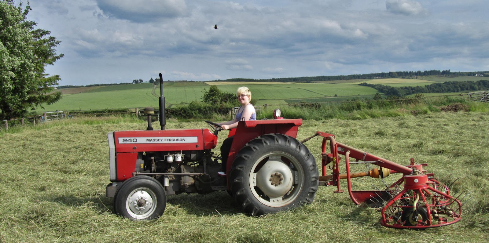 Kirsty_turning_hay_IMG_1000.jpg