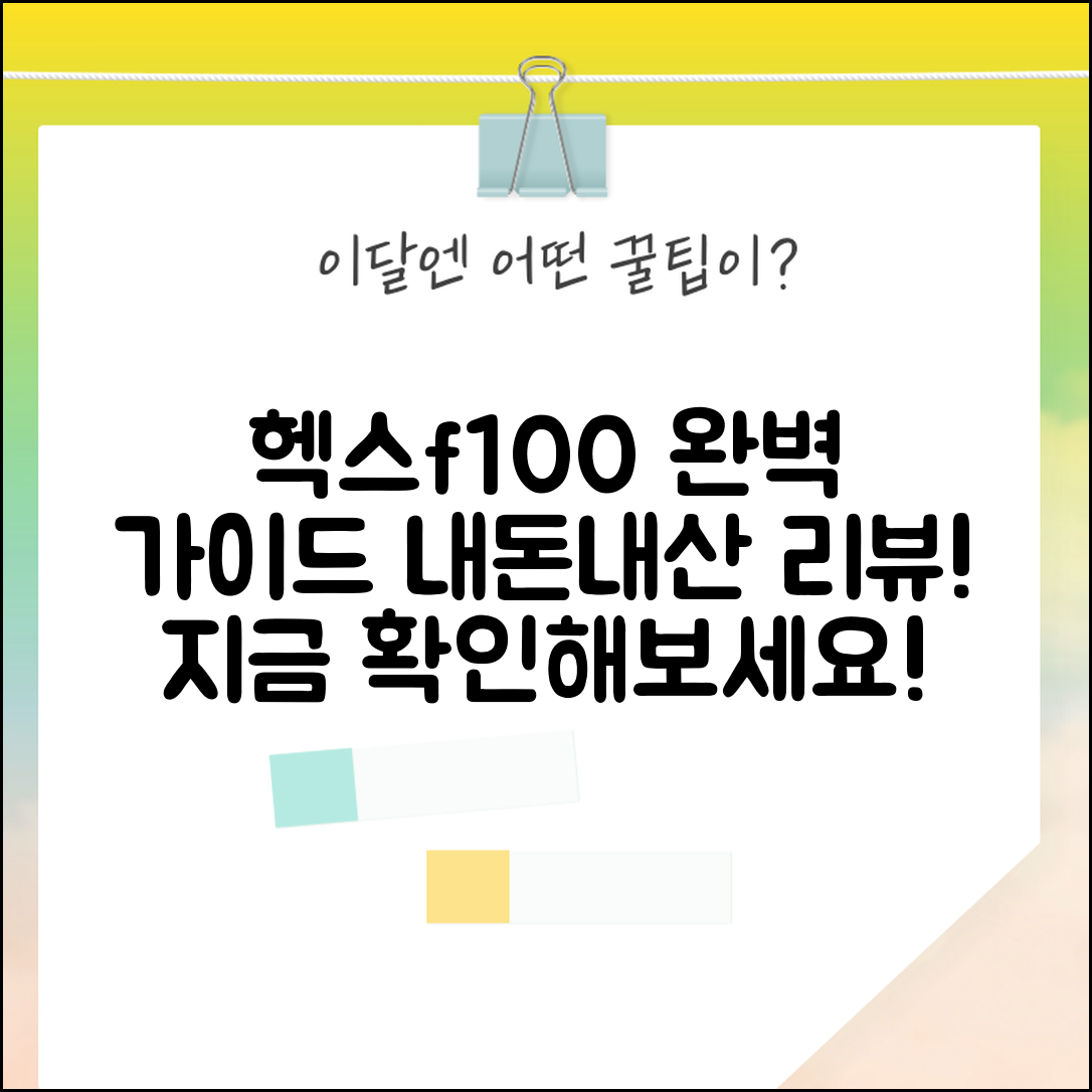헥스f100 내돈내산 완벽 가이드